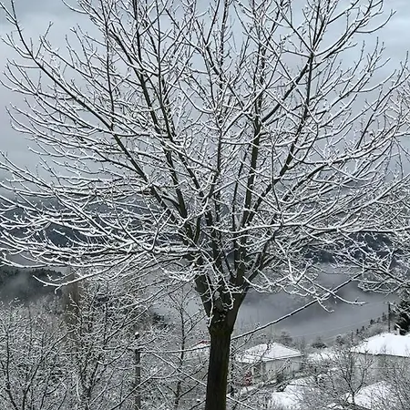 Mikro Katafygio * Stavli