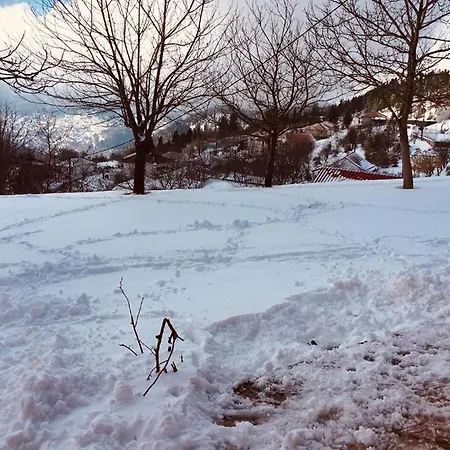 Mikro Katafygio Jaktstuga *